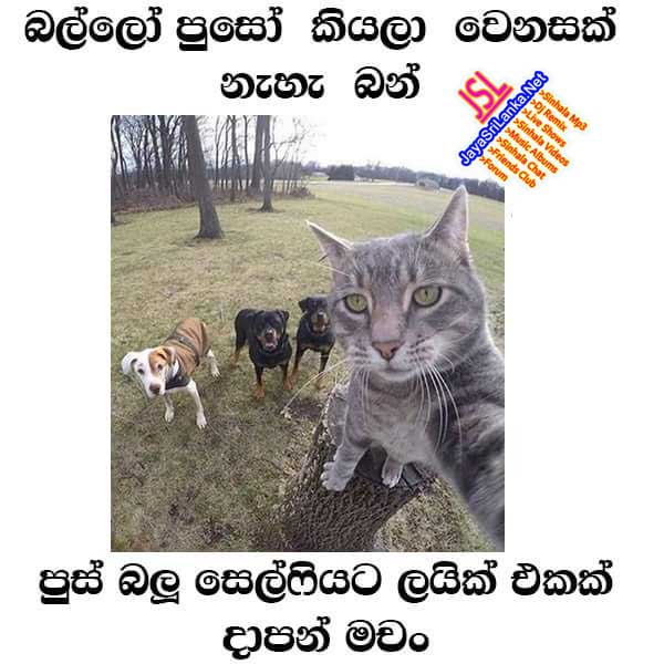 Sinhala Joke 019