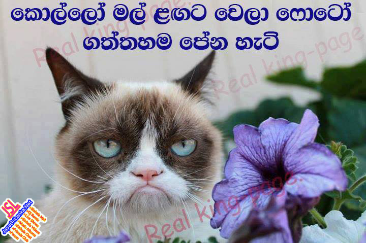 Sinhala Joke 020