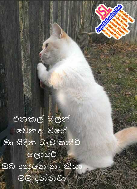 Sinhala Joke 030
