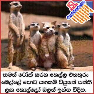 Sinhala Joke 037