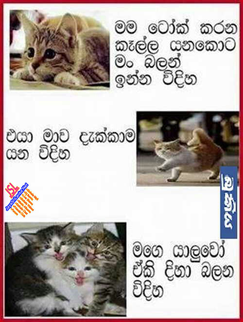 Sinhala Joke 094