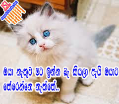 Sinhala Joke 245