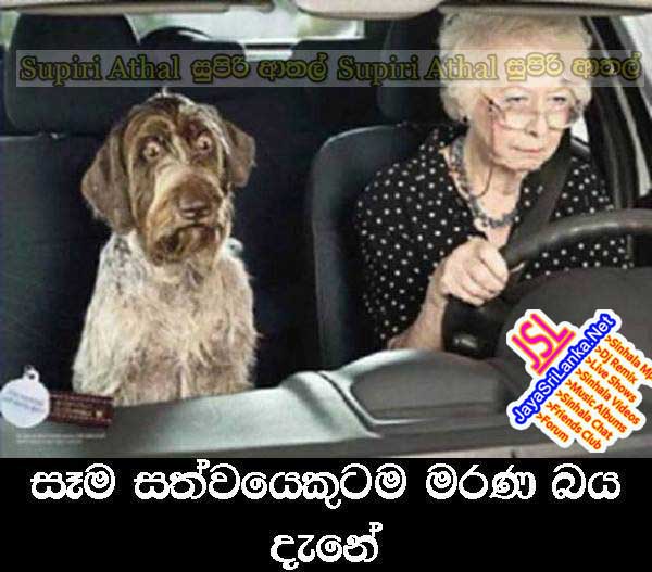 Sinhala Joke 056