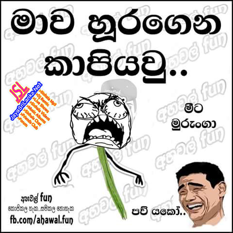 Ahawal Fb Joke Pages Sinhala
