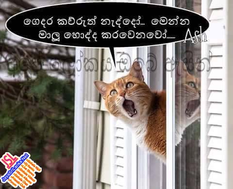 Sinhala Joke 166