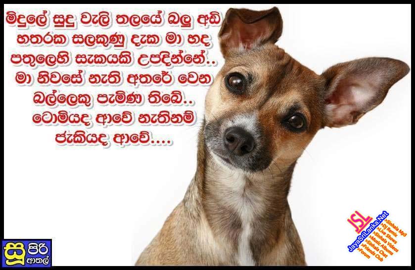 Sinhala Joke 169