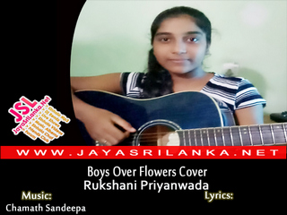Because Im stupid (Boys Over Flowers) Cover