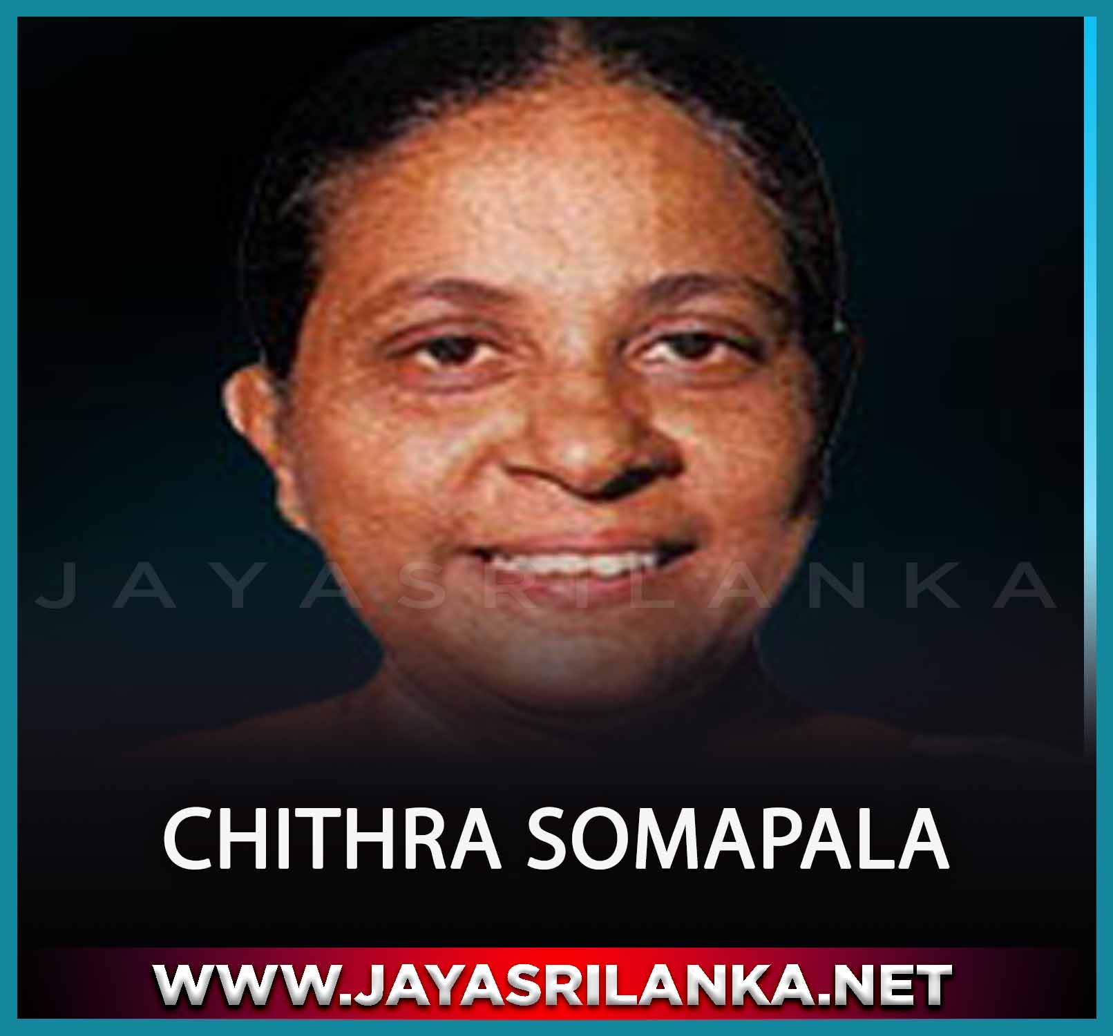 Dunhinda Halena Hamathana Nagena - Chithra Somapala mp3 Image