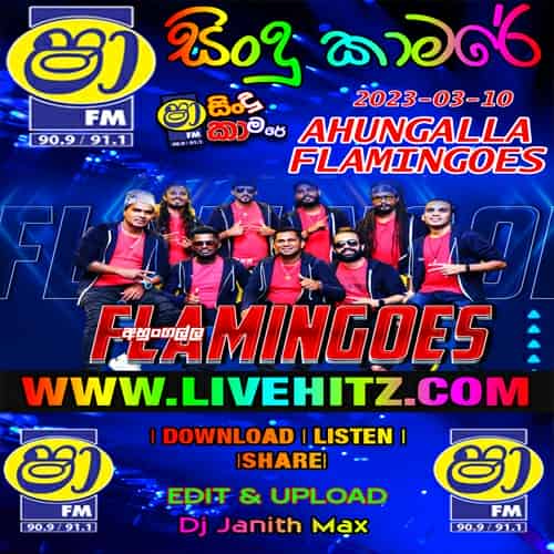 Milton Songs Nonstop - Ahungalla Flamingoes Mp3 Image